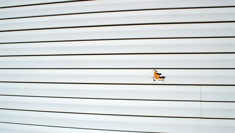 Experienced Vinyl Siding Repair